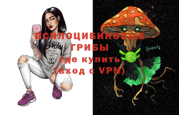 винт Карпинск
