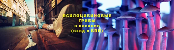 прущий лед Касимов
