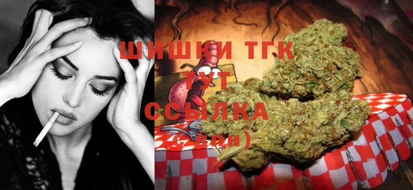 винт Карпинск