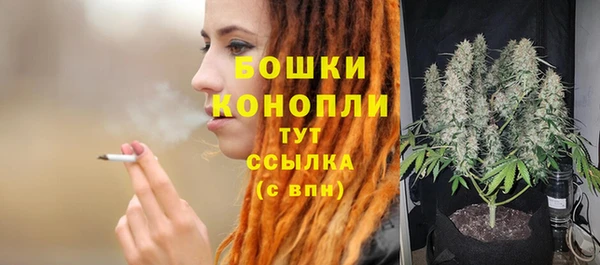 прущий лед Касимов